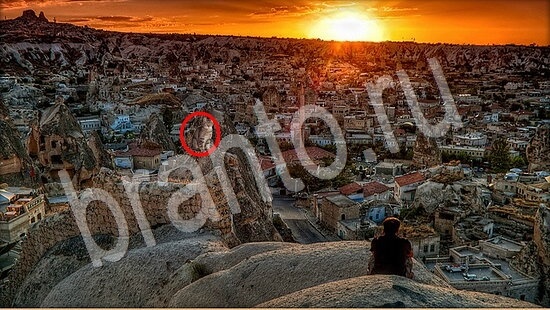 Где же кот? ответы Уровень 7928