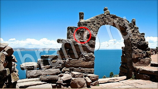 Где же кот? решения Уровень 7932