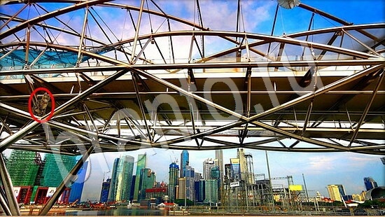 Где же кот ответы в картинках Уровень 7936