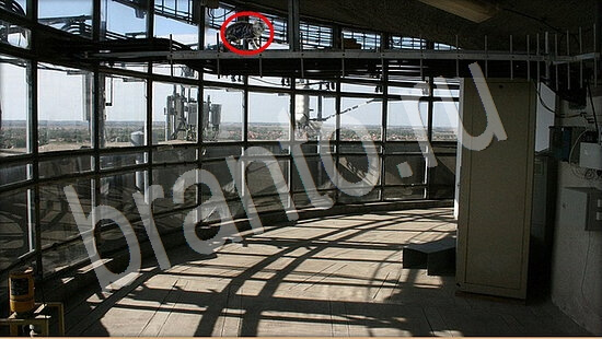 Игра Где же кот ответы Уровень 7937