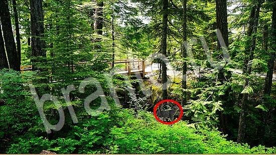 Игра Где же кот прохождение Уровень 7940