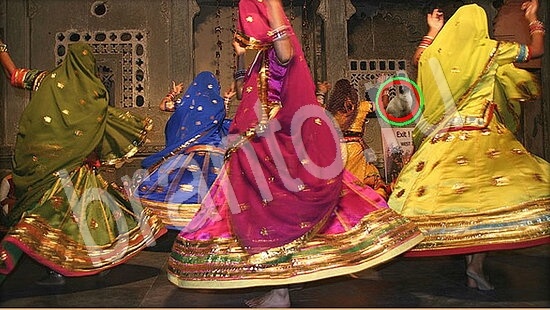 Где же кот прохождение игры Уровень 7942