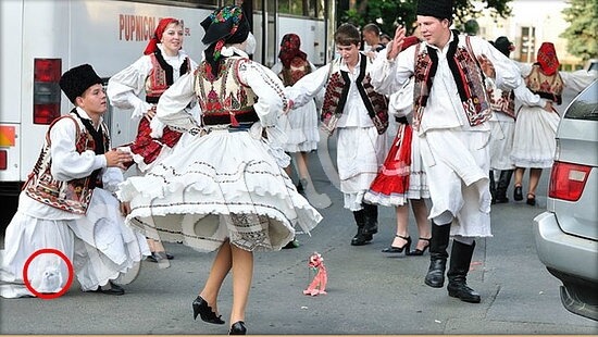 ответы Где же кот? в одноклассниках Уровень 7946