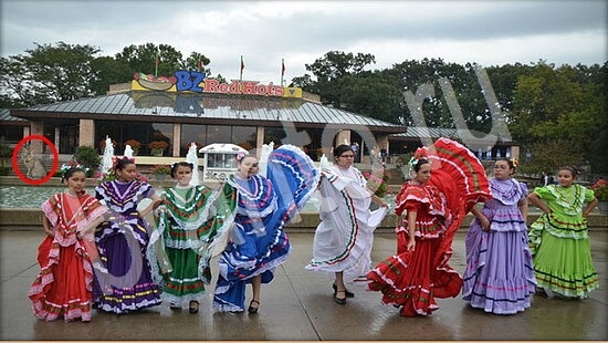 ответы для игры Где же кот Уровень 7947