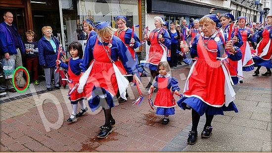 решения для игры Где же кот Уровень 7948