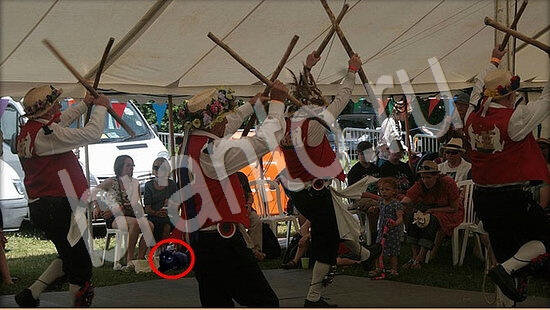 игра в одноклассниках Где же кот ответы Уровень 7950