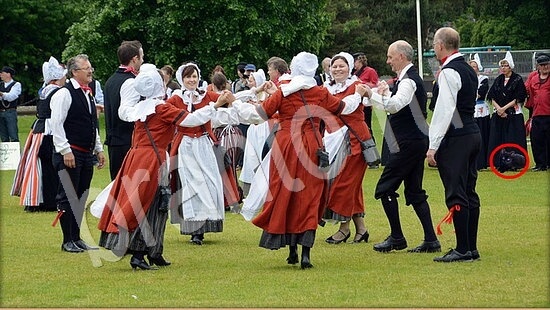 Где же кот помощь в картинках Уровень 7951