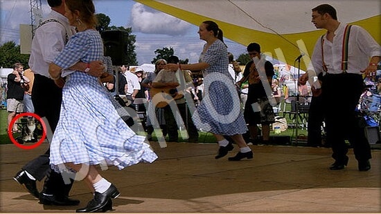 ответы на игру Где же кот в скриншотах Уровень 7952