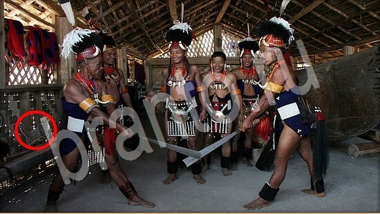 Где же кот ответы на новые задания Уровень 7953