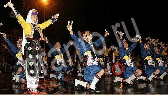 решения на игру Где же кот Уровень 7955