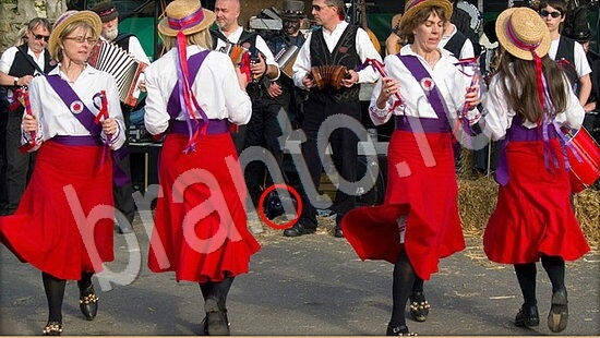 ответы в картинках на игру Где же кот Уровень 7957