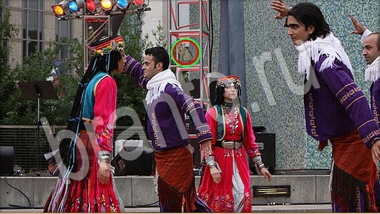 Где же кот ответы в одноклассниках Уровень 7959