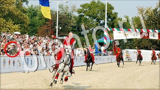 Где же кот? помощь Уровень 7970