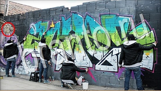 Подсказки на игру Где же кот Уровень 8002