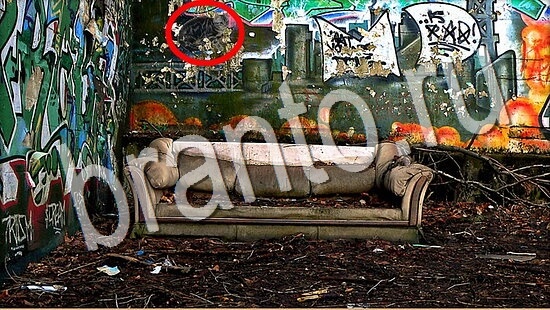 Помощь на игру Где же кот Уровень 8004