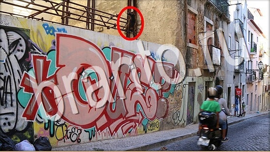 ответы к игре Где же кот Уровень 8005