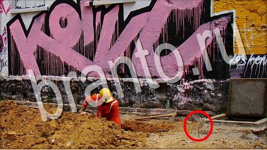 ответы на игру в одноклассниках Где же кот Уровень 8006