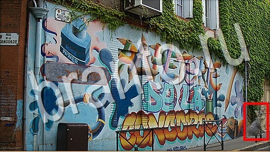 Где же кот? ответы Уровень 8008