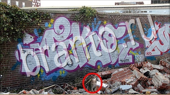 решебник на игру Где же кот Уровень 8011