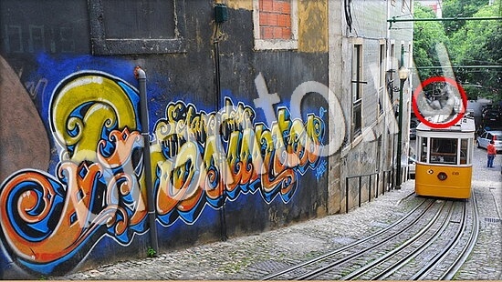 Где же кот? решения Уровень 8012