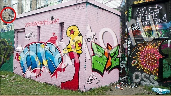 Где же кот игра помощь Уровень 8015