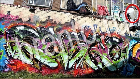 Где же кот ответы в картинках Уровень 8016