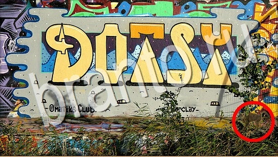 Игра Где же кот ответы Уровень 8017