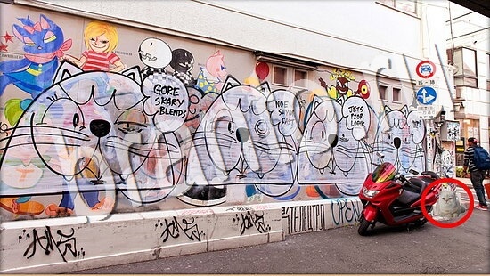 игра Где же кот помощь Уровень 8019