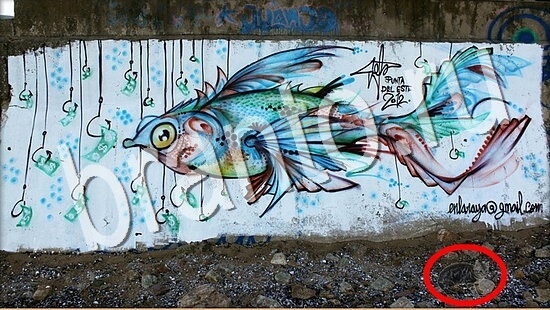 Игра Где же кот прохождение Уровень 8020