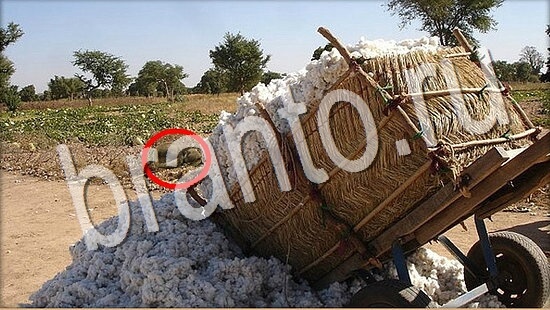 відповіді на игру Где же кот в одноклассниках Уровень 8023