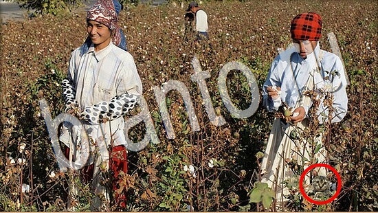 Прохождение игры Где же кот Уровень 8024