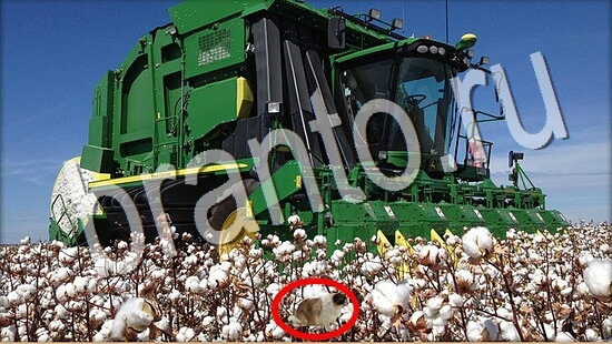 ответы Где же кот? в одноклассниках Уровень 8026