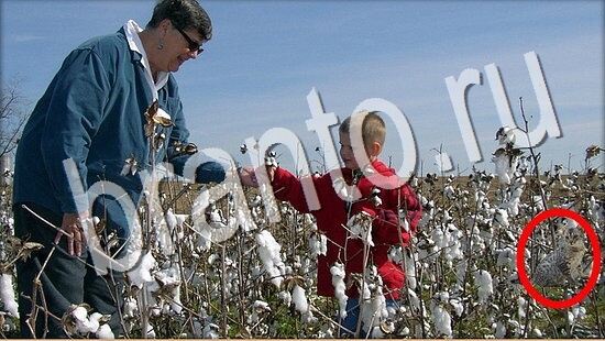 решения для игры Где же кот Уровень 8028