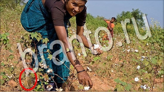 игра в одноклассниках Где же кот ответы Уровень 8030