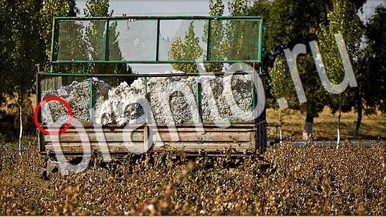 решения на игру Где же кот Уровень 8035