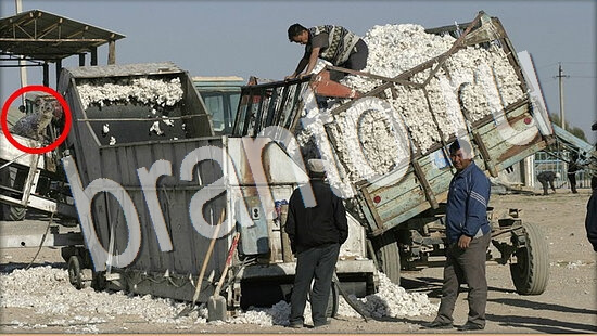 ответы в картинках на игру Где же кот Уровень 8037