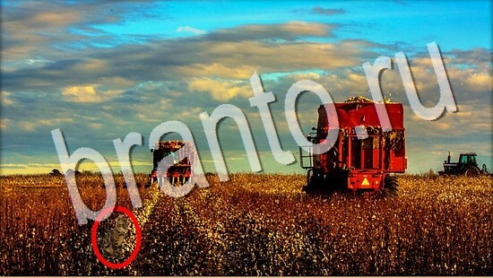 Где же кот ответы в одноклассниках Уровень 8039