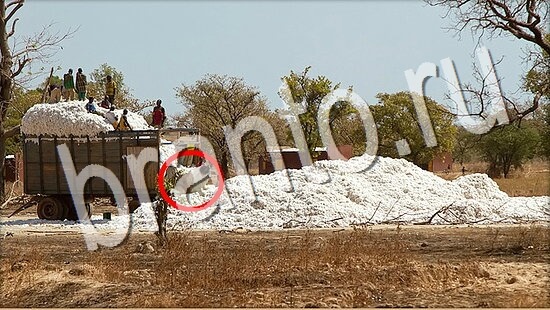 ответы на игру Где же кот Уровень 8041