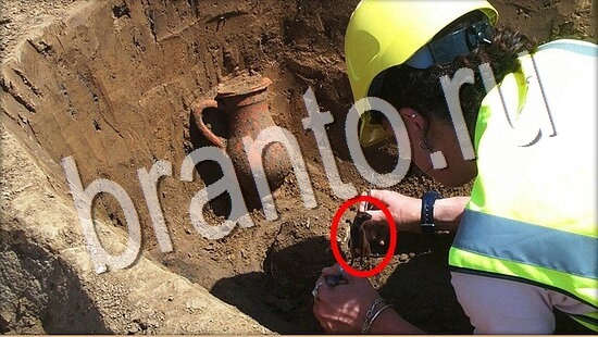 Подсказки на игру Где же кот Уровень 8042