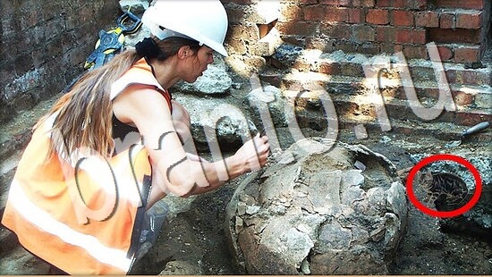 Решения на игру Где же кот Уровень 8043