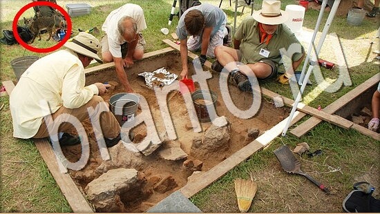 Помощь на игру Где же кот Уровень 8044