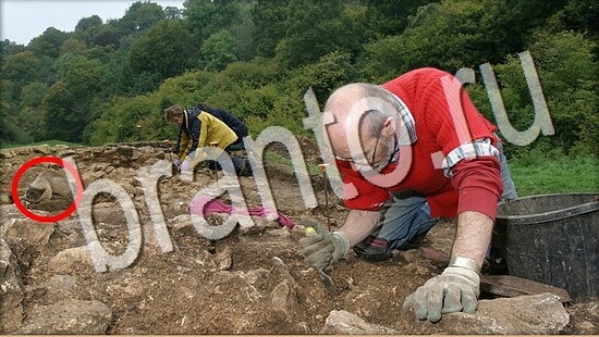 ответы к игре Где же кот Уровень 8045