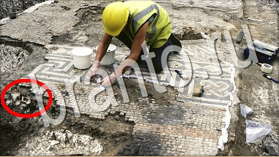 ответы на игру в одноклассниках Где же кот Уровень 8046