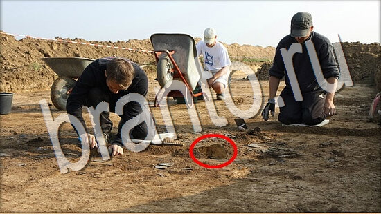 Где же кот игра ответы в одноклассниках Уровень 8047