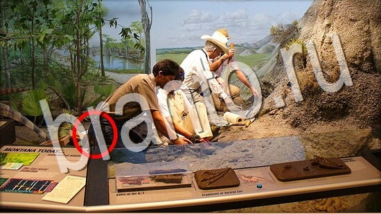 Где же кот? ответы Уровень 8048