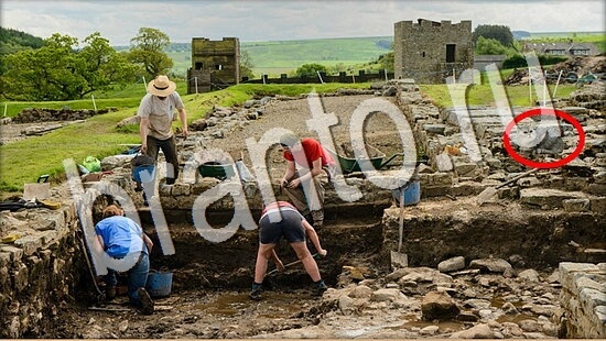 Где же кот? помощь Уровень 8050