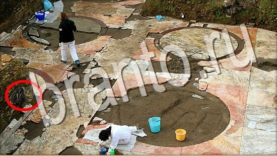 решебник на игру Где же кот Уровень 8051