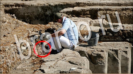 Где же кот? решения Уровень 8052