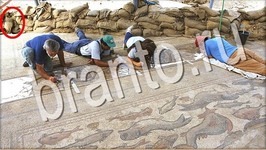 Где же кот игра ответы Уровень 8053