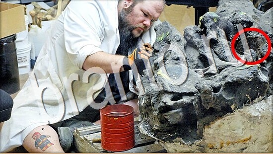 Где же кот игра помощь Уровень 8055